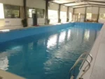 pool liner(深蓝）2