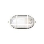Non-Explosive Light(椭圆）3