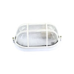 Non-Explosive Light(椭圆）4