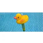 animal thermometer 6